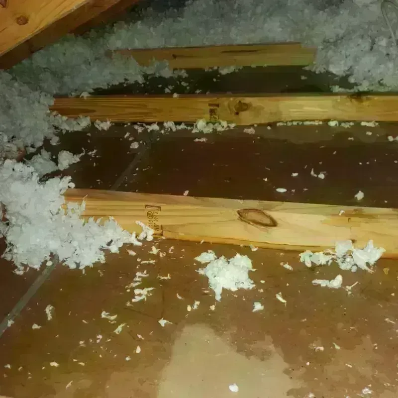 Attic Water Damage in Glen Carbon, IL