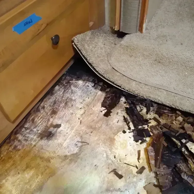 Wood Floor Water Damage in Glen Carbon, IL